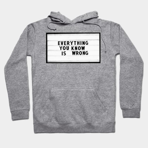 Everything You Know is Wrong Hoodie by MysticTimeline